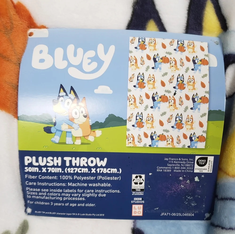 Bluey & Bingo Fall Harvest Pumpkin Plush Throw Blanket 50